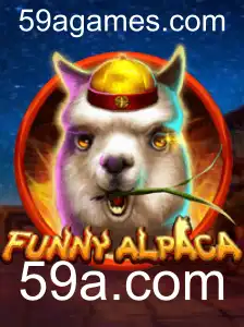 Explorando o Universo de FunnyAlpaca